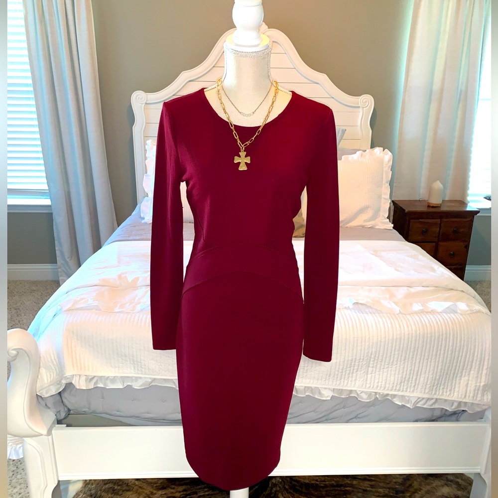 Gianni Bini Body Con (M)